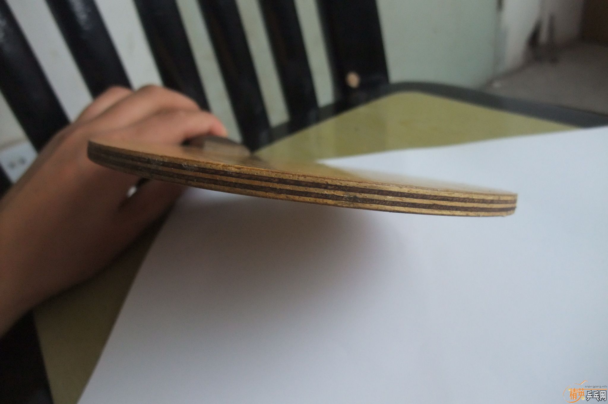 ���������������յڶ�������NittakuС���л�õ��5���������