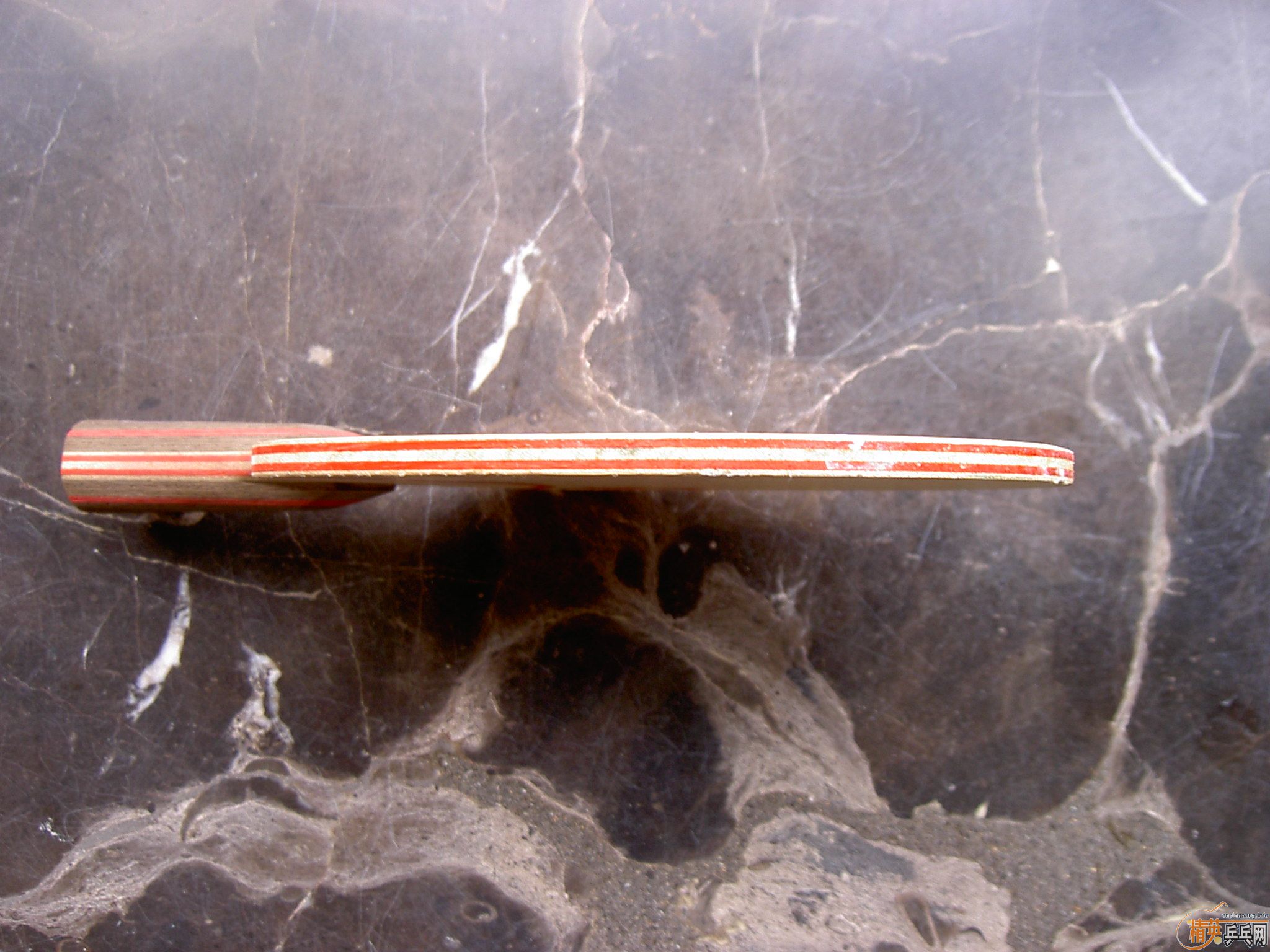 �� �л�CLCR 250���� ��֧���������ȵ��ȵã���