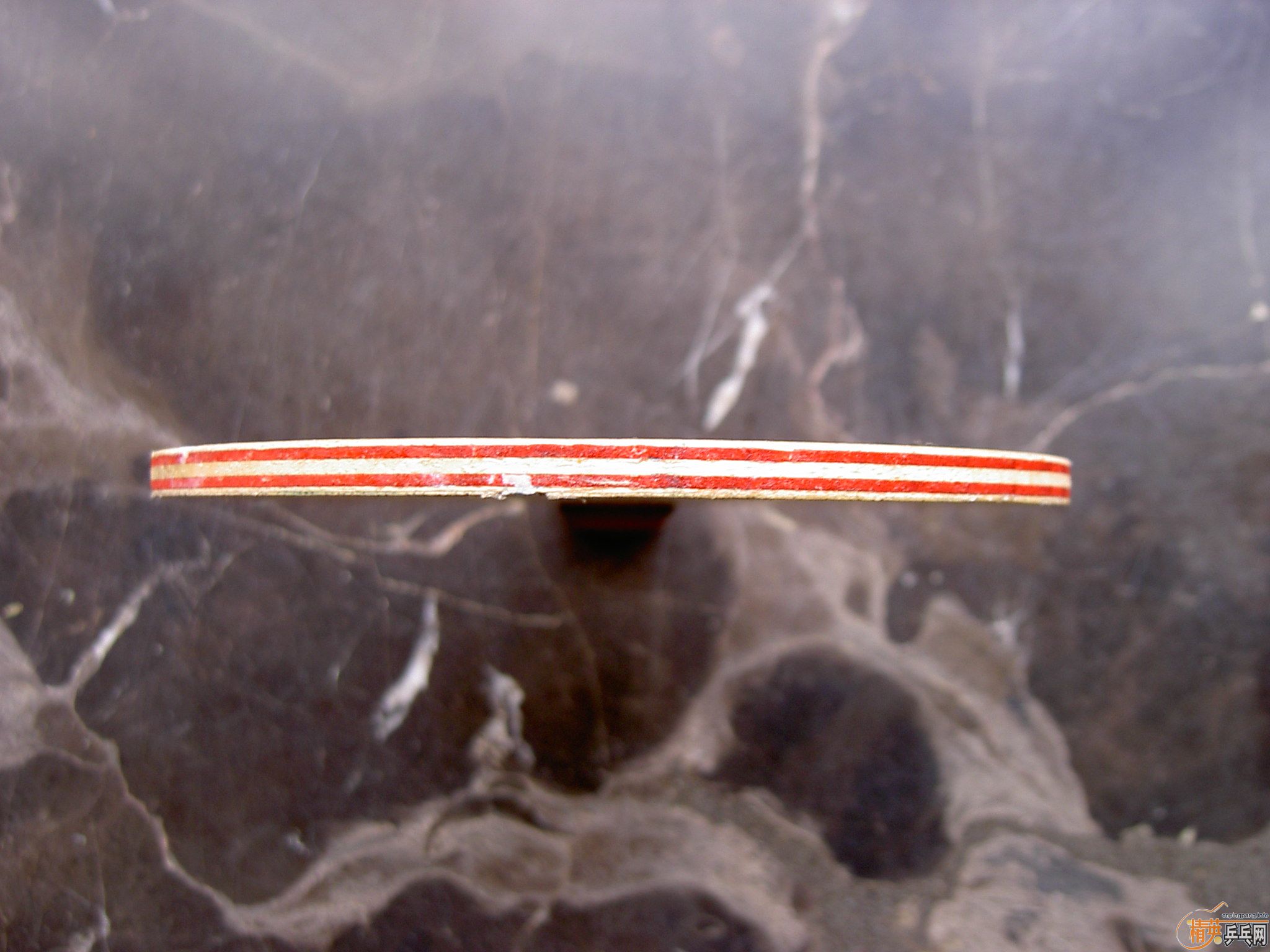 �� �л�CLCR 250���� ��֧���������ȵ��ȵã���