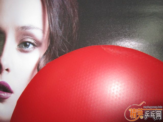 05�����졪�����������