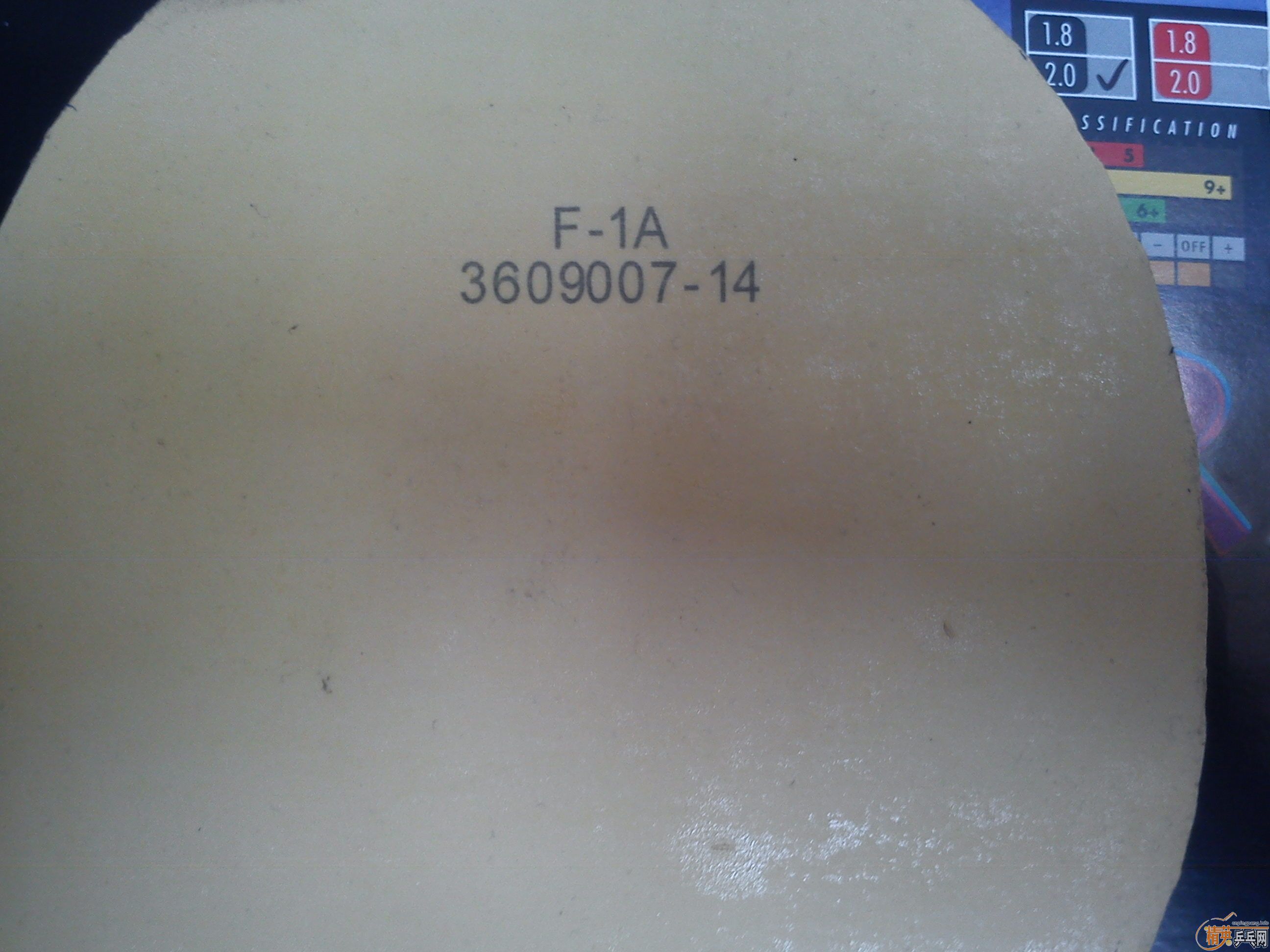 �����������������EL���켫����������Ҫ��ô��