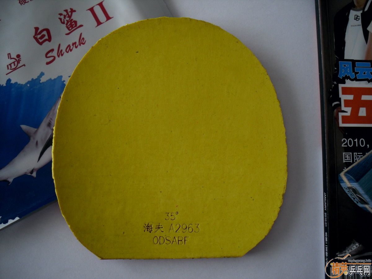 ���׽����ɣ�����JO��JOOLA ̽�ꡢBARACUDA�����������裩����û����ɱ���㣿