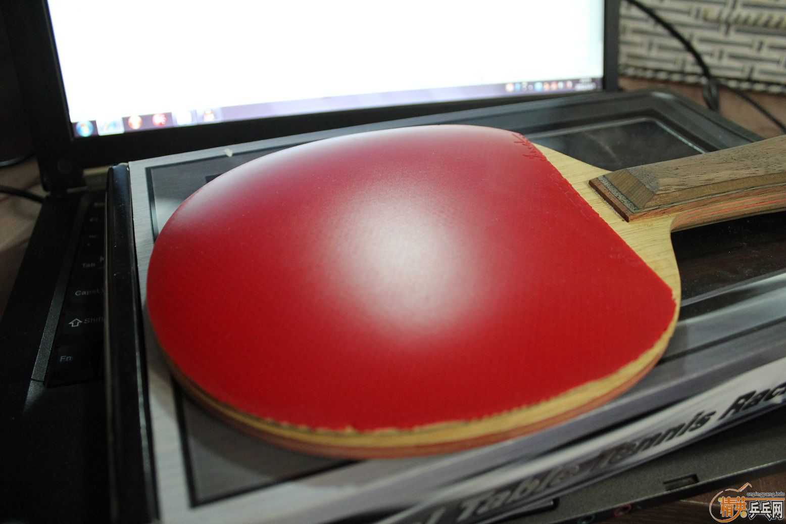 ����沣����FL-->qupiterת��