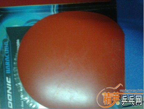 ����������rutis ���ST