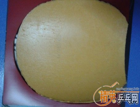 ����������rutis ���ST