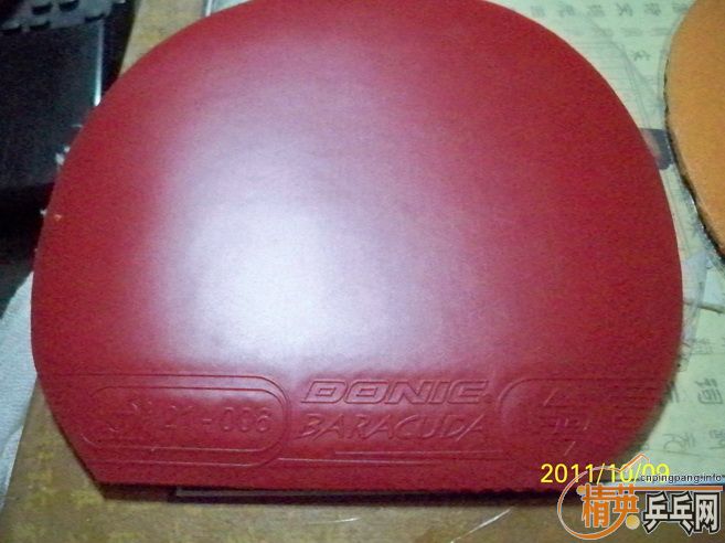 �������� ʹ��3�ε� �����Baracuda BIG SLAM  �տ�3