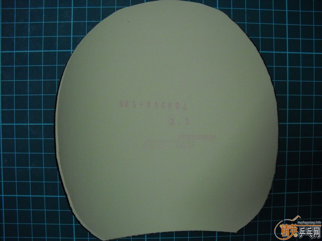 �����һ�ε�ROXON 500PRO�����һ�ε�HEXER���˳��µĴ��