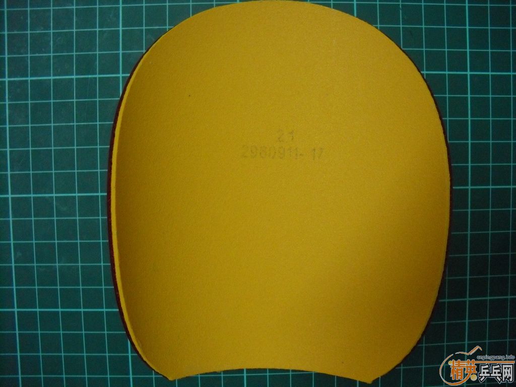 �����һ�ε�ROXON 500PRO�����һ�ε�HEXER���˳��µĴ��