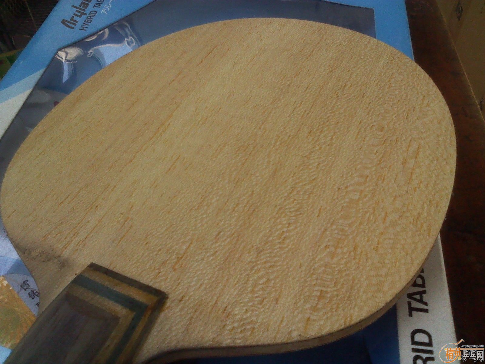 ���ѳ����ƺ�������һֻ�²���ALC