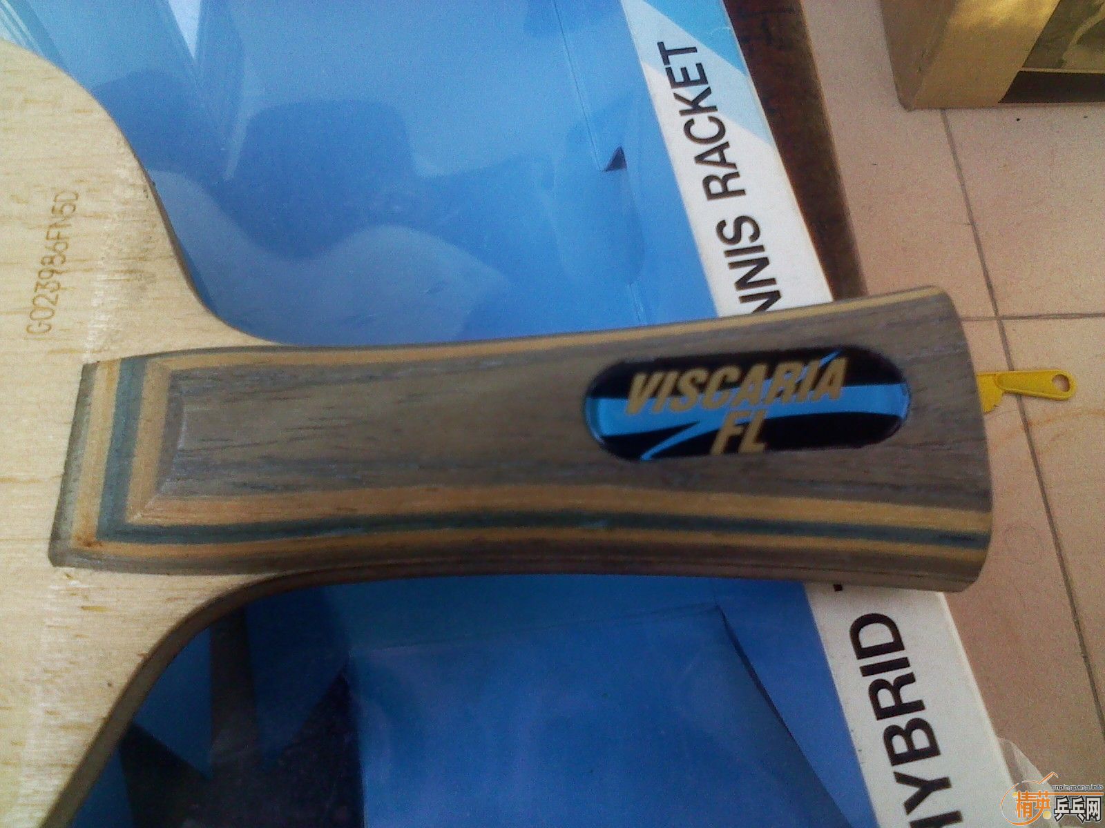 ���ѳ����ƺ�������һֻ�²���ALC