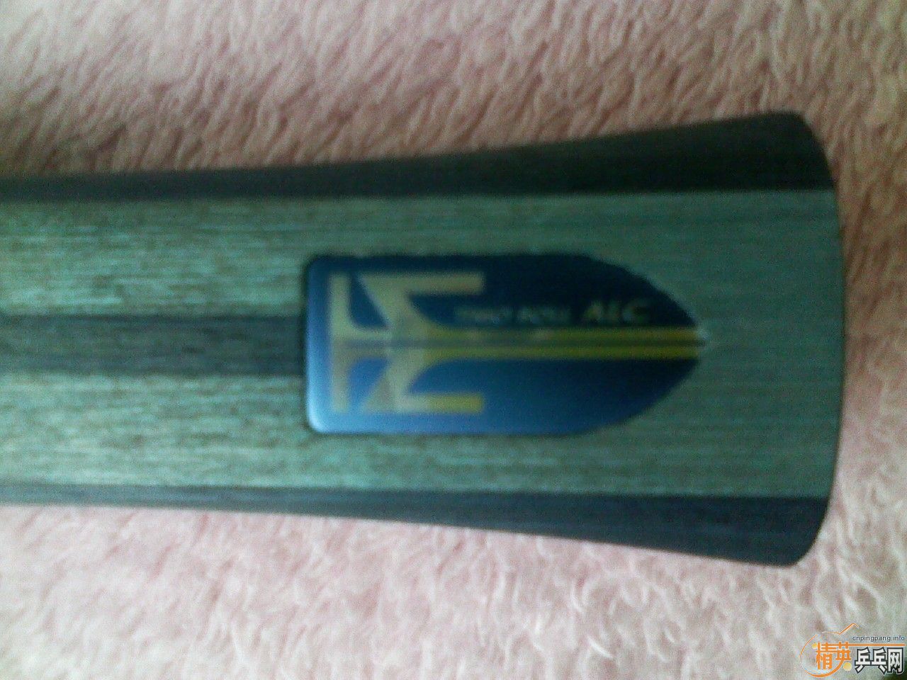 ���ѳ����ƺ�������һֻ�²���ALC