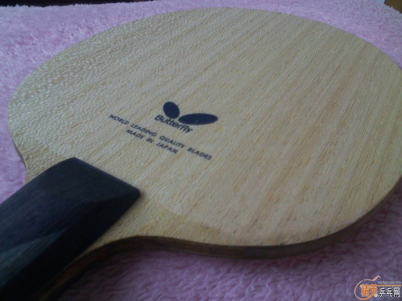 ���ѳ����ƺ�������һֻ�²���ALC