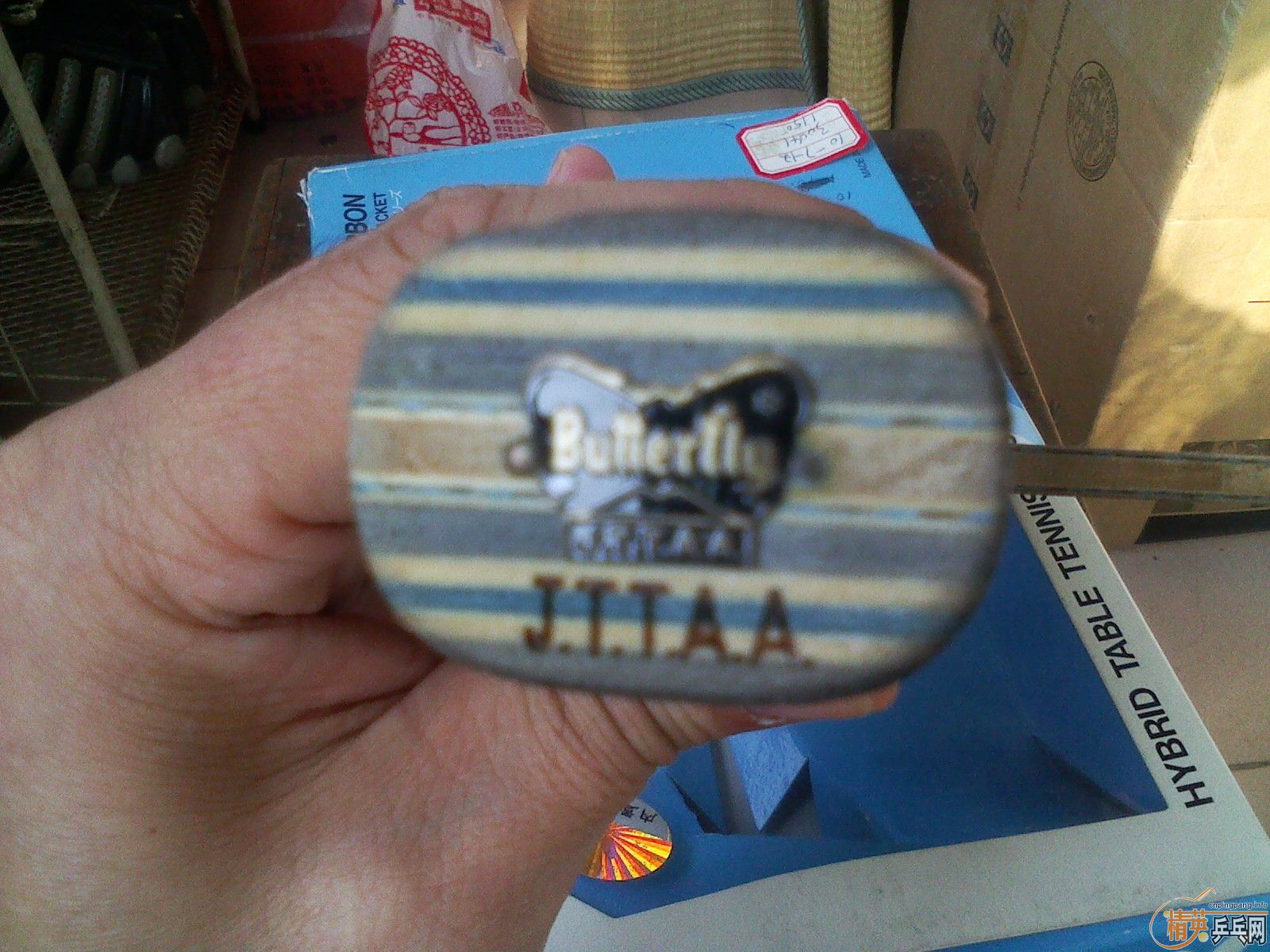 ���ѳ����ƺ�������һֻ�²���ALC