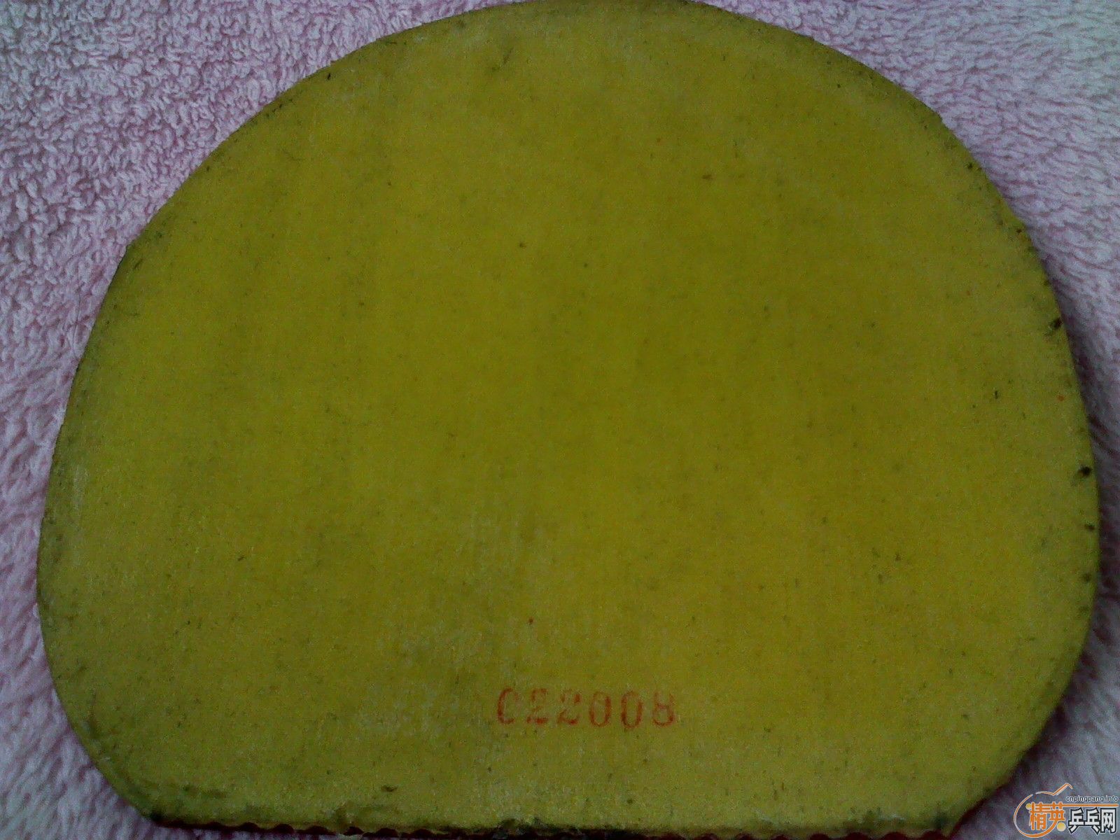 ���ѳ����ƺ�������һֻ�²���ALC