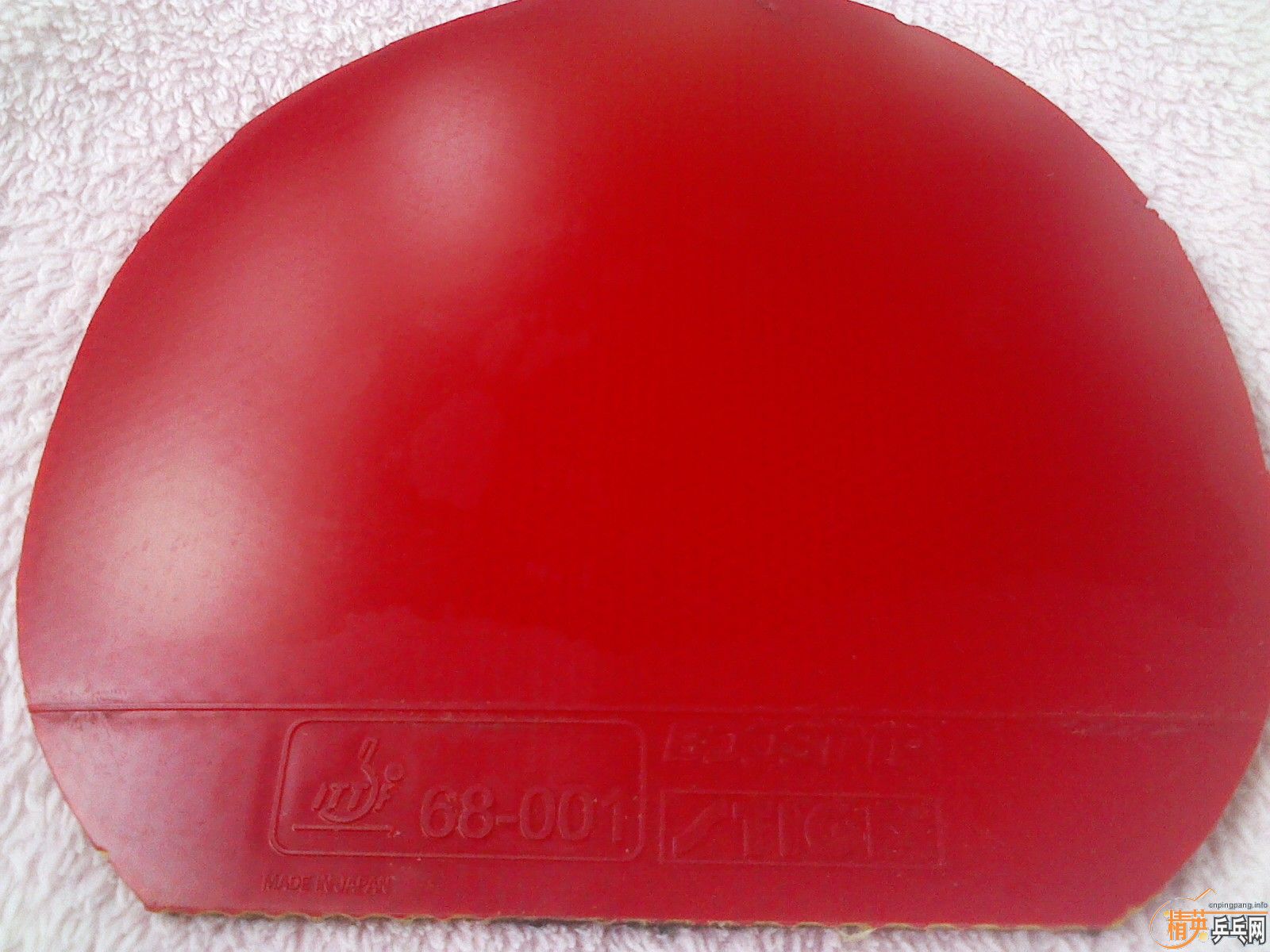 ���ѳ����ƺ�������һֻ�²���ALC