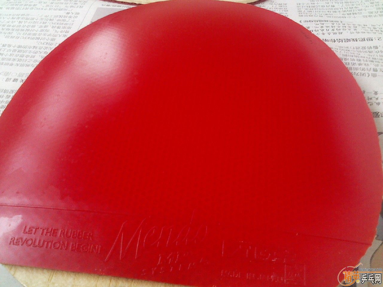 ���ѳ����ƺ�������һֻ�²���ALC