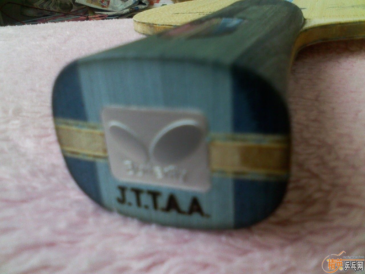 ���ѳ����ƺ�������һֻ�²���ALC