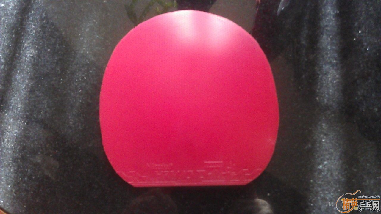 ��!!!˹�ۿ��Ʊ� �л�����