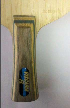 ��95��VIS��ͨ�����ˣ�