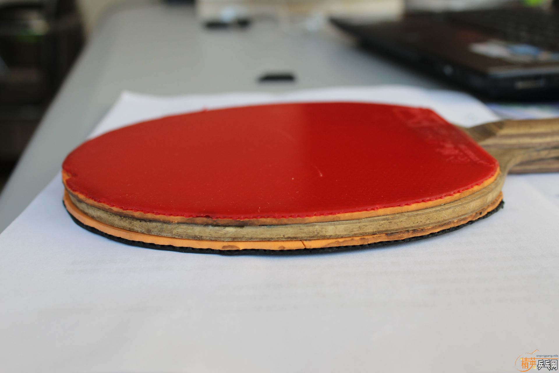 ����PETR KORBEL-AN��ֱ��YEO,��ϵQQ75764858