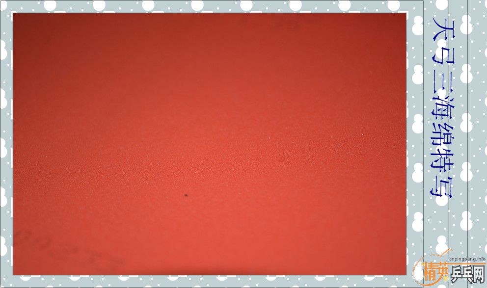 ����������� ������ �����ǡ�����˫ϲ���칭������������