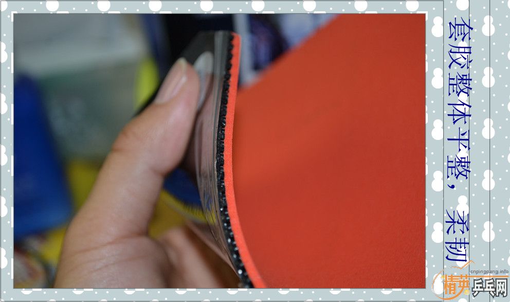 ����������� ������ �����ǡ�����˫ϲ���칭������������