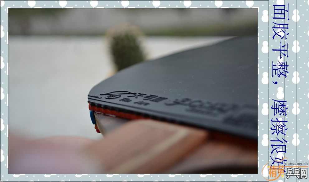 ����������� ������ �����ǡ�����˫ϲ���칭������������