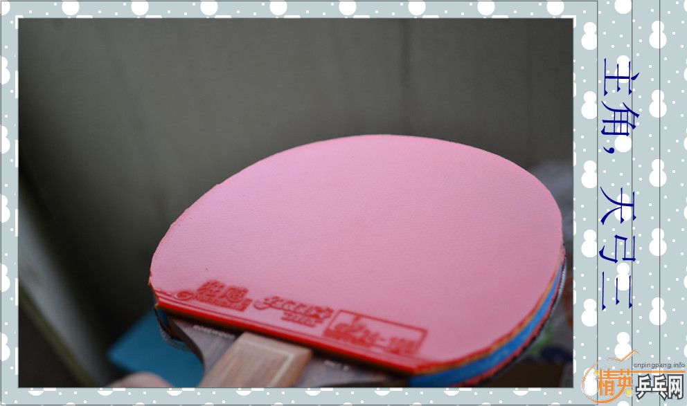 ����������� ������ �����ǡ�����˫ϲ���칭������������