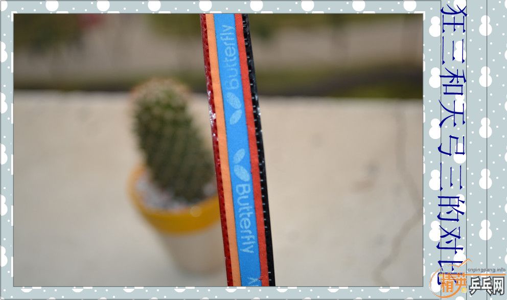 ����������� ������ �����ǡ�����˫ϲ���칭������������