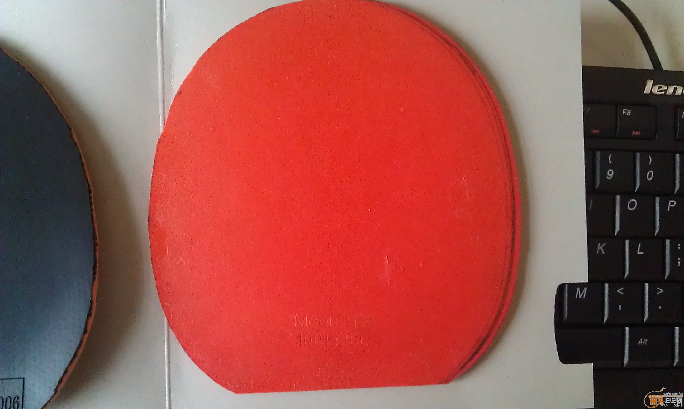 ~~~~~�����Ž�Ƥ