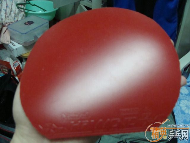 ���ѳ������5�ε�����100Ԫ����