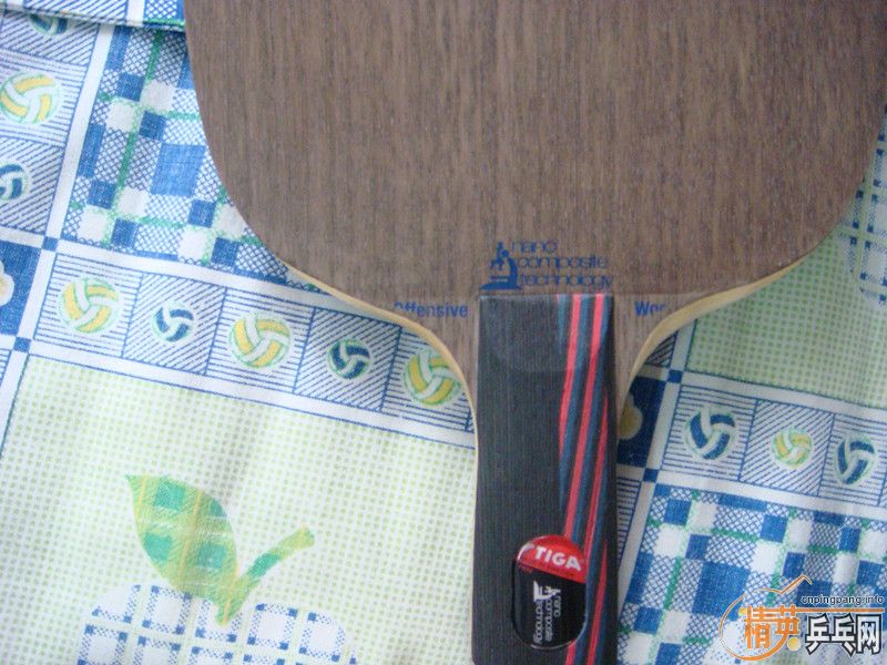 ŷ������OC��230�����ʣ�˳�ᵽ��������