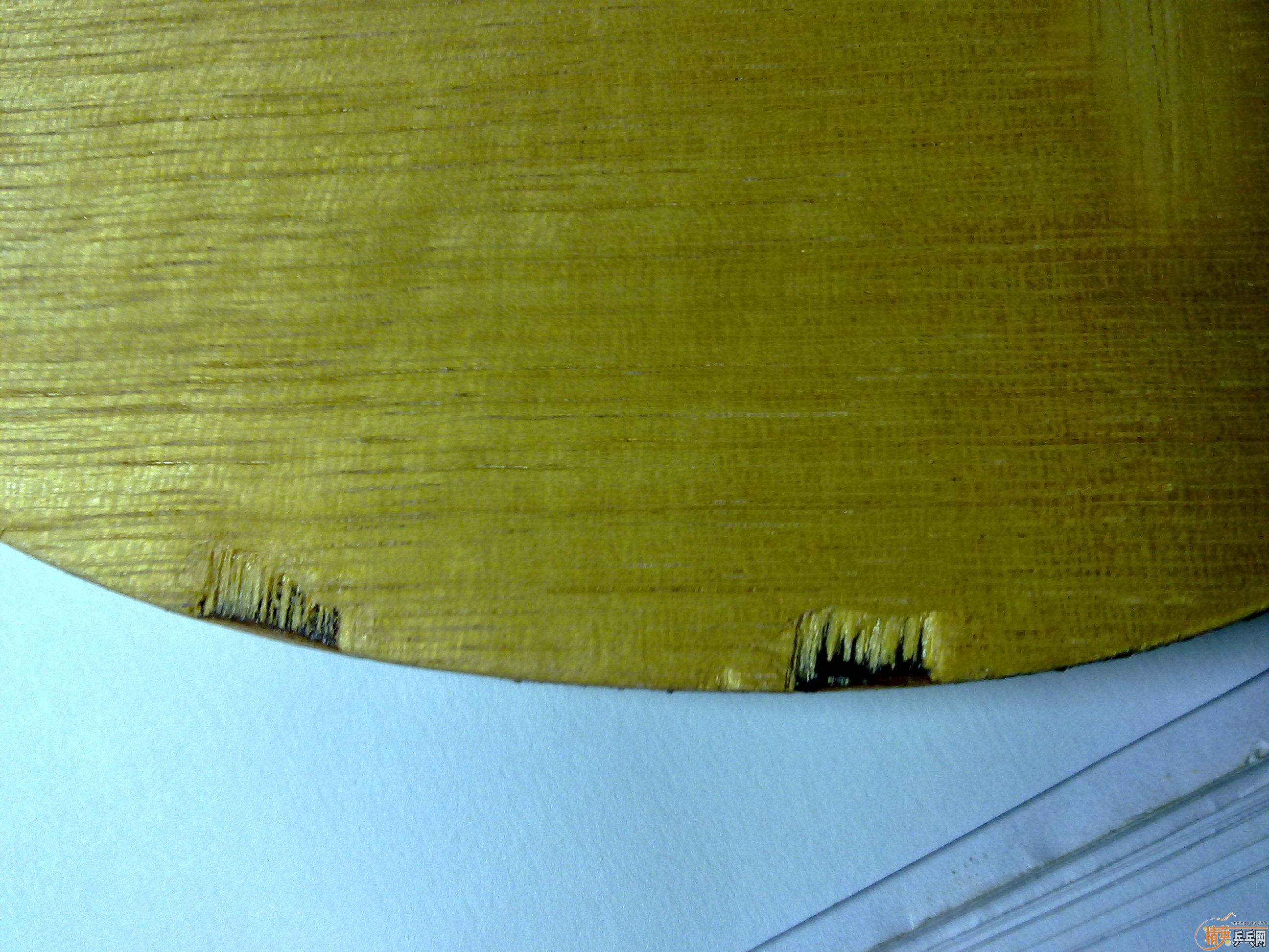 420����ݳ����ִ��񣬻��߻���������