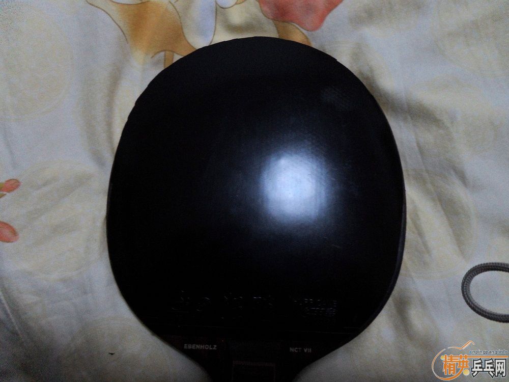 �Ĵ���������FLŷˮ��̴�ߣ��������������룡��