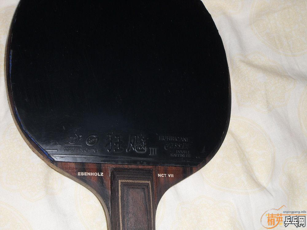 �Ĵ���������FLŷˮ��̴�ߣ��������������룡��