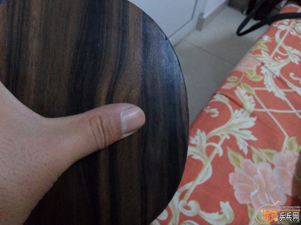 �Ĵ���������FLŷˮ��̴�ߣ��������������룡��