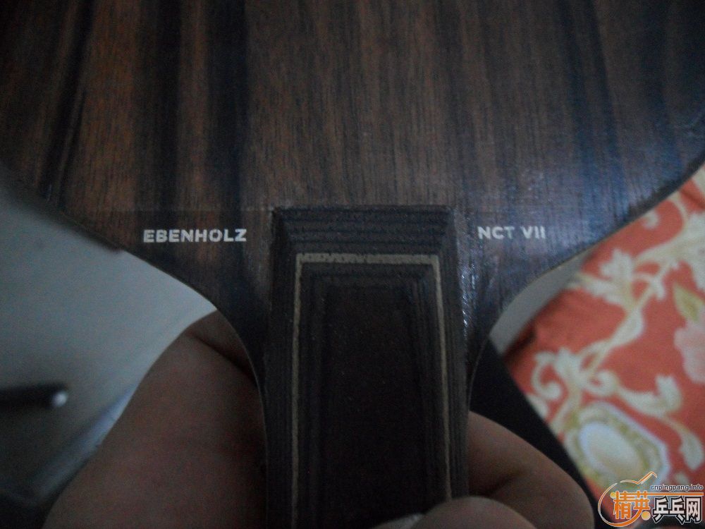 �Ĵ���������FLŷˮ��̴�ߣ��������������룡��