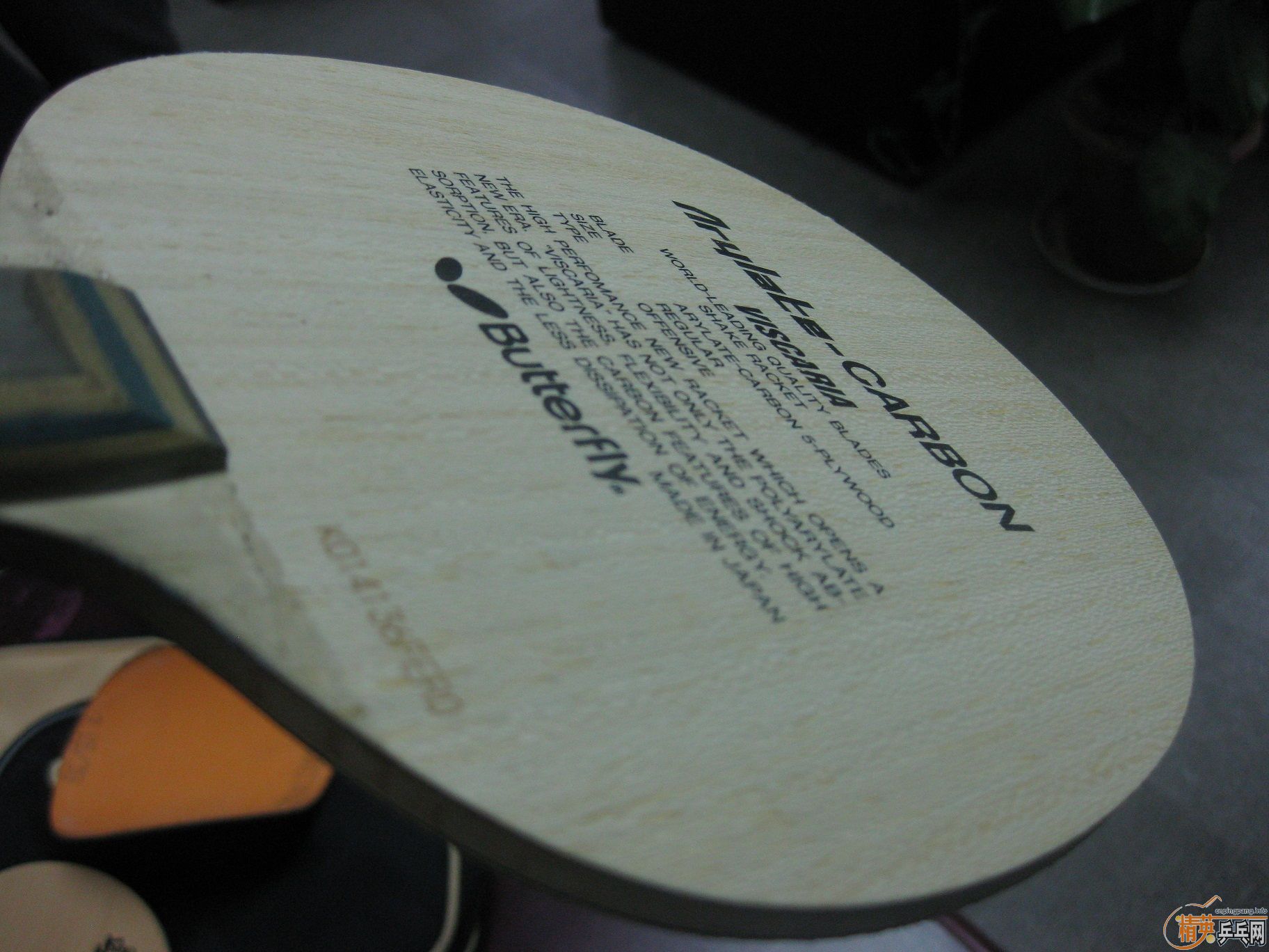 ����һ���ʺ��㣺vis fl��stiga ��̴7st��xiom������