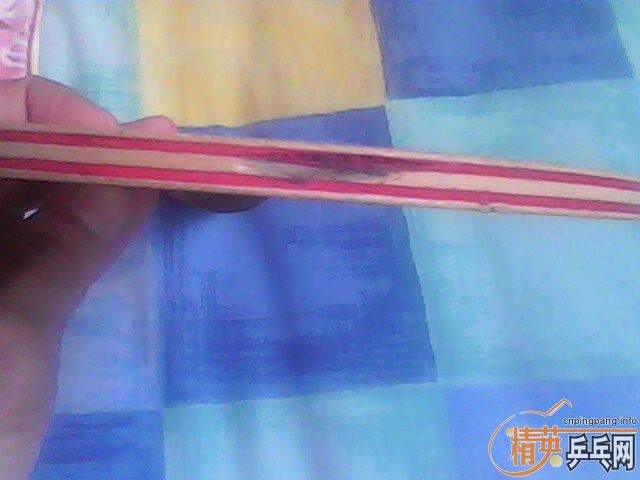 ��������߼У�FL��