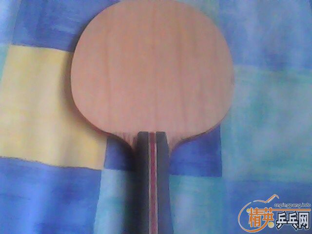 ��������߼У�FL��