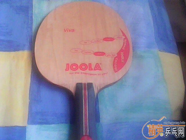 ��������߼У�FL��