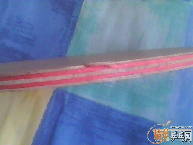 ��������߼У�FL��