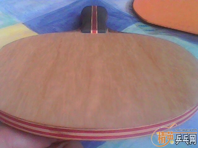 ��������߼У�FL��