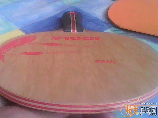 ��������߼У�FL��