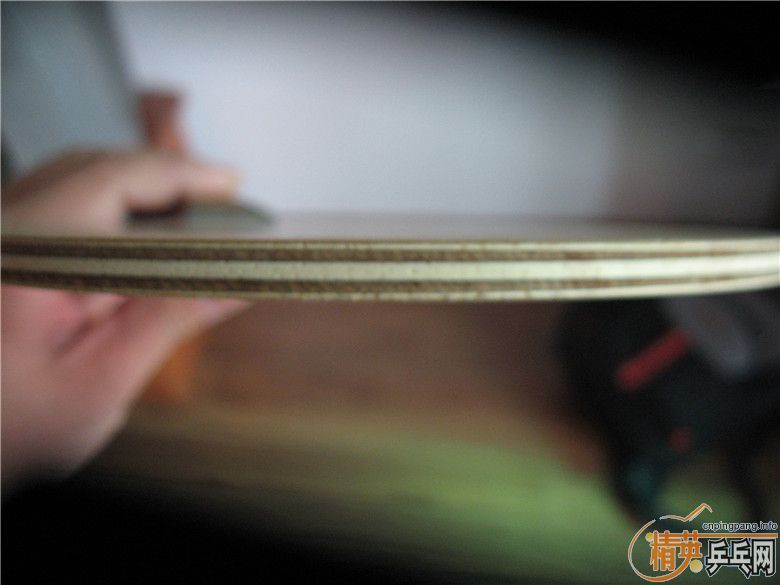 ���ѳ�����9.5��NITTAKU���ִ���------��ӹת��