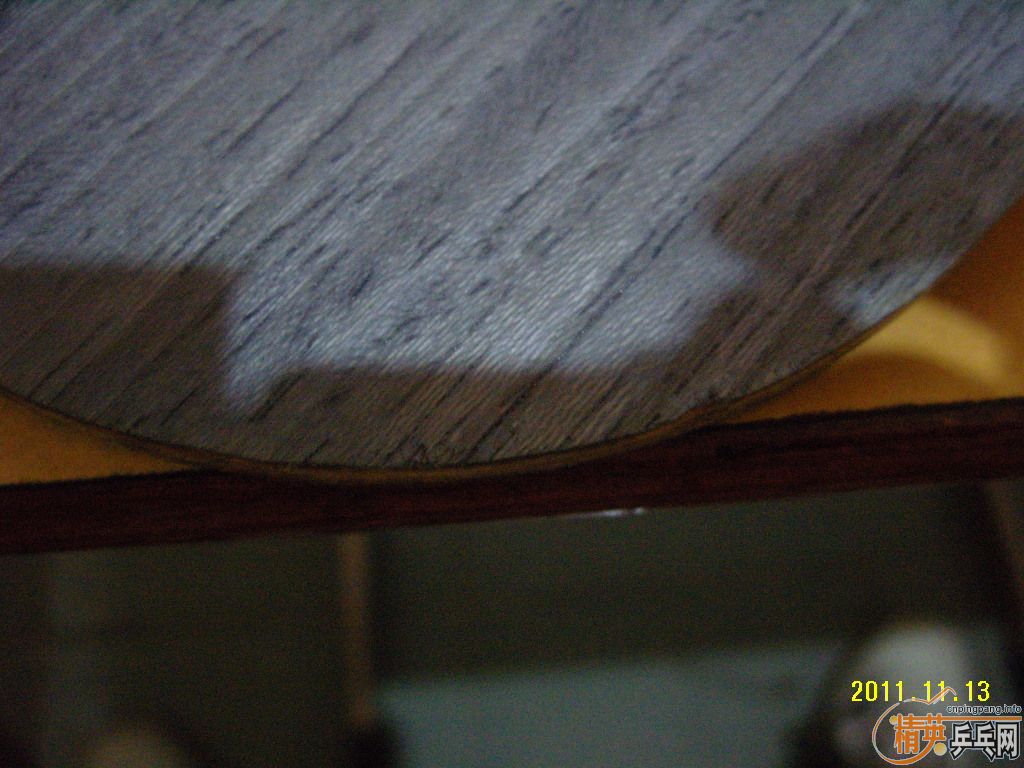 (�ѳ�)��һֻ���𩣡������������������������������������������------��ӹת