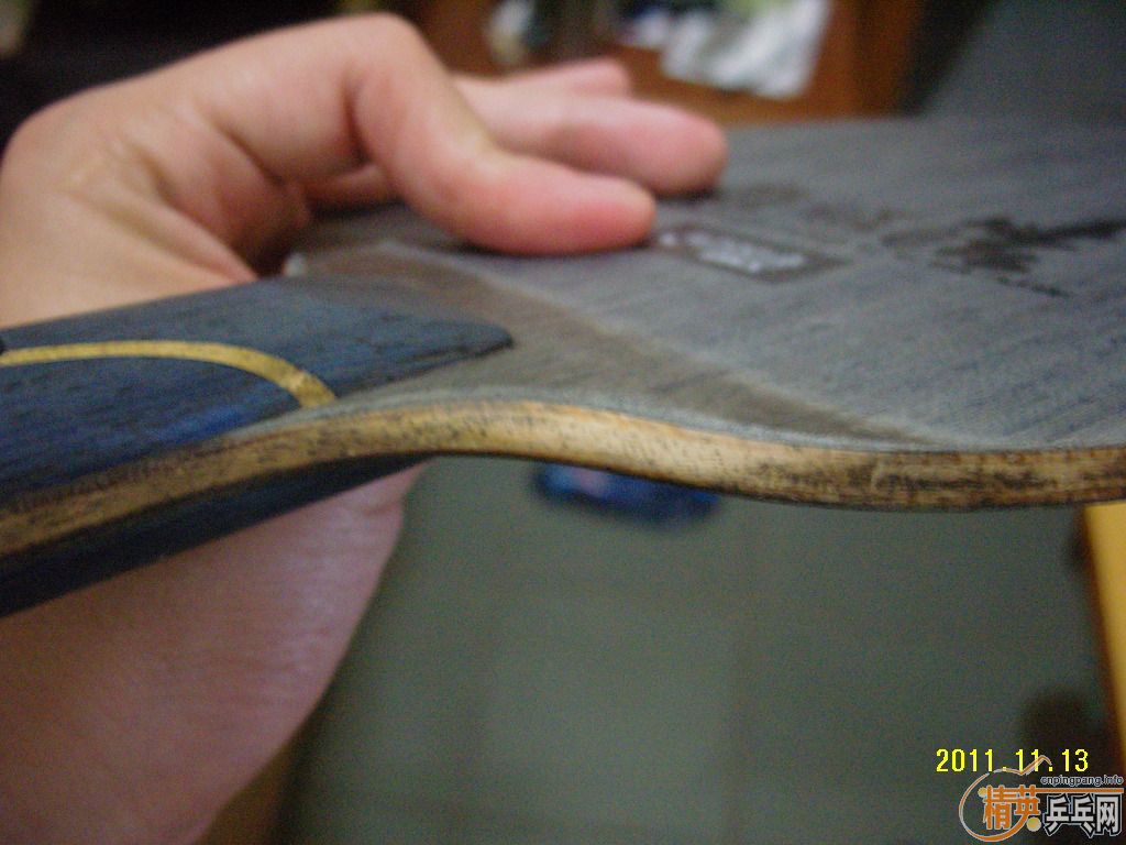 (�ѳ�)��һֻ���𩣡������������������������������������������------��ӹת