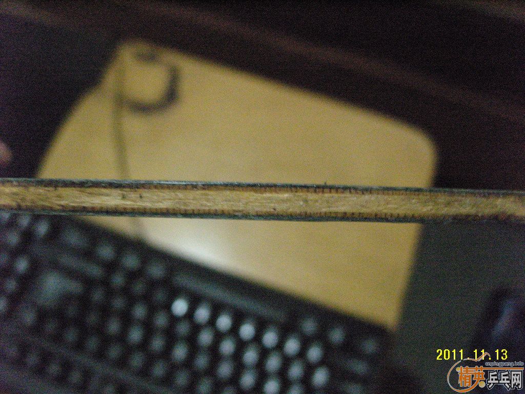 (�ѳ�)��һֻ���𩣡������������������������������������������------��ӹת