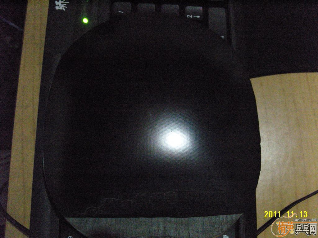 (�ѳ�)��һֻ���𩣡������������������������������������������------��ӹת