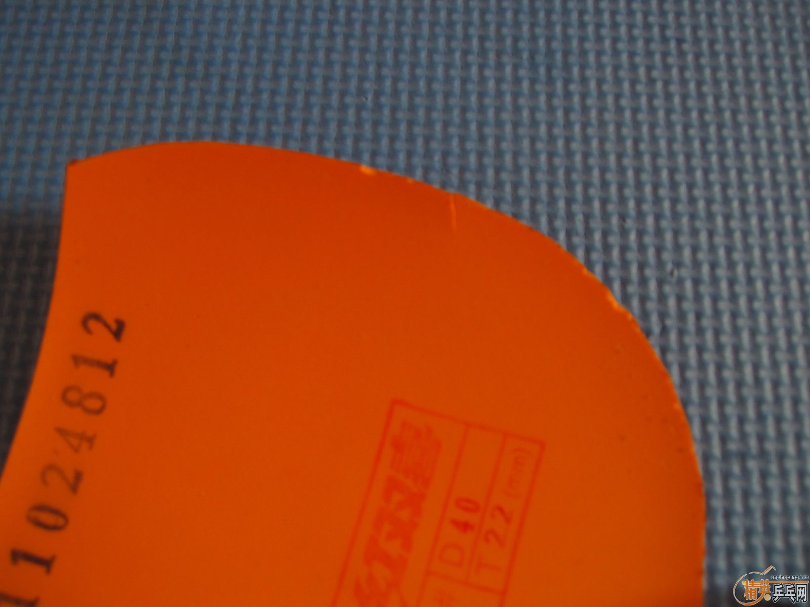 �ѳ����������� ʡ�� ������������